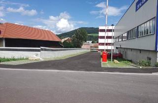 Büro zu mieten in Industriezeile, 4020 Linz, Büro inkl. Kleinteilelager 310 m² (EG)