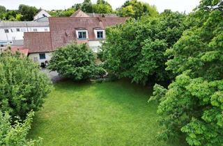 Haus kaufen in Lanzendorfer Hauptstraße, 2130 Mistelbach, Großzügig geschnittenes Haus mit vielfältigem Obstgarten | 2 Grundstücke, 6 Zimmer, 4 PKW-Stellplätze | Naturteich, Terrasse | Am Naherholungsgebiet Zayawiesen