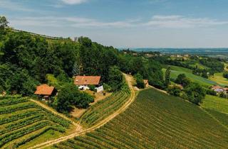 Haus kaufen in Graßnitzberg, 8472 Straß in Steiermark, Alleinlage, Weinberge, Weitblick und Idylle – Ihr Rückzugsort am Graßnitzberg!