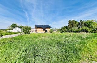 Grundstück zu kaufen in 2751 Steinabrückl, Baugrundstück mit 737 m2