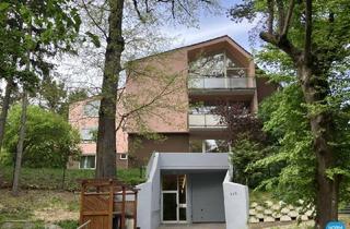 Loft mieten in Pötzleinsdorfer Straße, 1180 Wien, Dachgeschoss am Pötzleinsdorfer Park