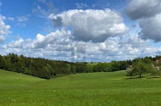 Grundstück zu kaufen in 5241 Maria Schmolln, Preisreduktion! LEICHTE HANGLAGE MIT TRAUMAUSSICHT IN DIE NATUR