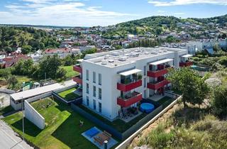 Wohnung mieten in 7222 Rohrbach bei Mattersburg, Wohnung in Rohrbach