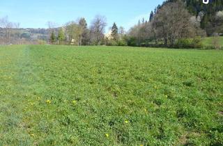 Gewerbeimmobilie kaufen in 9560 Feldkirchen in Kärnten, Ackerfläche nähe Feldkirchen/Stadt