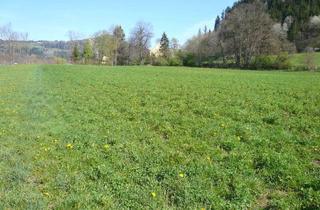Gewerbeimmobilie kaufen in 9560 Feldkirchen in Kärnten, Ackerfläche (Bio-Fläche) nähe Feldkirchen/Stadt