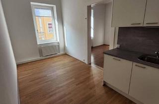 Wohnung kaufen in Karl Wiserstrasse 21, 4020 Linz, Modernisierte 4-Zimmer Altbauwohnung mit Aufzug Top Lage