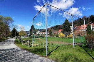 Wohnung mieten in Proleberstraße 58, 8700 Leoben, Top Ausblick! Sanierte Wohnung in schöner & familienfreundlicher Lage!