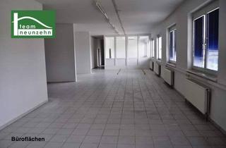 Büro zu mieten in 7082 Donnerskirchen, Büro, Geschäft, Werkstatt, Lager! Industriegelände Donnerskirchen! ab 10 m² ab 80€ Netto/Monat! - JETZT ZUSCHLAGEN