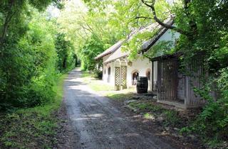 Lager kaufen in 2011 Obermallebarn, Einzigartige Kellerobjekte mit Wochenendnutzung in einer typischen Weinviertler Kellergasse