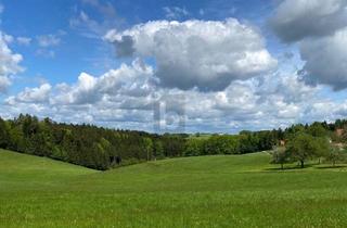 Grundstück zu kaufen in 5241 Maria Schmolln, Preisreduktion! LEICHTE HANGLAGE MIT TRAUMAUSSICHT IN DIE NATUR