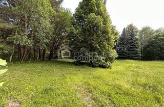 Grundstück zu kaufen in 2812 Hollenthon, Ihre Gelegenheit! Grundstück in Traumlage mit Waldbestand!