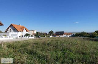 Grundstück zu kaufen in 7091 Breitenbrunn am Neusiedler See, TOP LIEGENSCHAFT MIT SEEBLICK NATURNAH