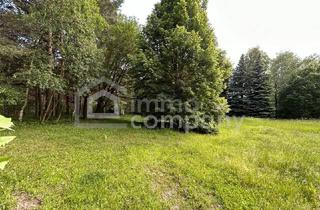 Grundstück zu kaufen in 2812 Hollenthon, Ihre Gelegenheit! Grundstück in Traumlage mit Waldbestand!