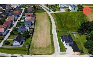 Grundstück zu kaufen in Haizingerstraße, 4081 Hartkirchen, Attraktives Baugrundstück in Hartkirchen – ideal für Ihr Traumhaus