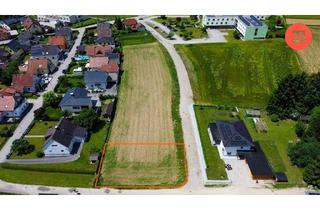 Grundstück zu kaufen in Haizingerstraße, 4081 Hartkirchen, Attraktives Baugrundstück in Hartkirchen – ideal für Ihr Traumhaus