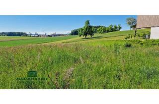 Grundstück zu kaufen in 5141 Moosdorf, Sonniger Baugrund am Grünland, 30 km nördlich von Salzburg