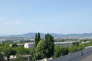 Wohnung mieten in Troststraße, 1100 Wien, Sommergefühle auf der eigenen TERRASSE über den Dächern von Wien!