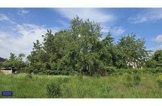 Grundstück zu kaufen in Franz Hütter Gasse, 2482 Münchendorf, Erstklassiges ruhig gelegenes, sonniges Baugrundstück mit Altbestand - Münchendorf bei Wien!