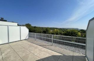Wohnung mieten in Bründlgraben 45, 3500 Krems an der Donau, Moderne Zwei-Zimmer Terrassenwohnung mit Fernblick - Erstbezug