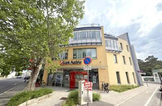 Büro zu mieten in 2340 Mödling, Großzügige 800 m² Bürofläche in zentraler Innenstadt-Lage in Mödling (ab ca. 400 m² teilbar)