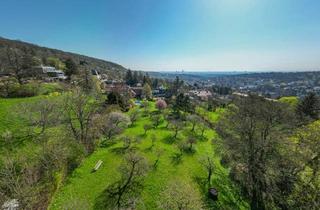 Villen zu kaufen in 1190 Wien, Die Strauß-Villa in Döbling