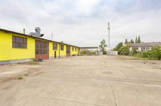 Lager kaufen in 2201 Hagenbrunn, Kupferschmiedgasse - 5.919,00m2 großes Gewerbeobjekt mit Lagerhalle und Büro