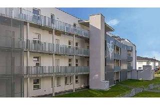 Wohnung mieten in Mondscheinweg, 2130 Mistelbach, Vermiete Parkplatz in Tiefgarage Mondscheinweg