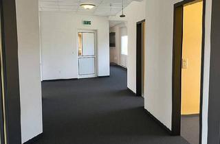 Büro zu mieten in 4121 Altenfelden, Helles & flexibel gestaltbares Gewerbeobjekt mit Top-Anbindung an die B 127