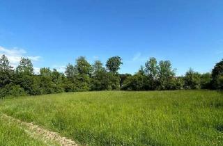 Grundstück zu kaufen in 4612 Scharten, Idyllisches Juwel mit ruhigem Bachlauf – Baugrundstück ohne Bauzwang