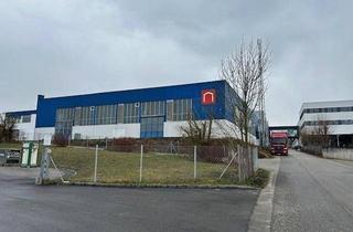 Büro zu mieten in 4600 Thalheim bei Wels, 588 m2 Halle mit Sprinkleranlage und 5 Tonnenkran und Brandschutz und Büromöglichkeit optional