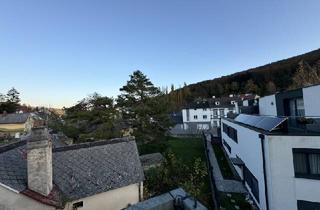 Wohnung kaufen in 3400 Klosterneuburg, Villa mit hochwertigster Ausstattung, großzügigem Garten, großer Terrasse und spektakulärer Dachterrasse!