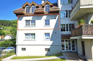 Wohnung mieten in 2840 Grimmenstein, Sonnige 3-Zimmer-Wohnung mit Carport und Grünblick