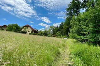 Grundstück zu kaufen in 8044 Niederschöckl, Sonniges Baugrundstück mit Waldblick bei Graz-Mariatrost