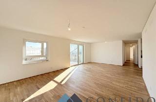 Wohnung mieten in 2700 Wiener Neustadt, Sonnige DG - Wohnung mit Balkon und Terrasse in zentraler Lage von Wr. Neustadt!
