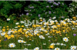 Wohnung kaufen in Mayrhoferstraße, 4030 Linz, Leistbarer Wohntraum im Neubau - 3-Zimmer Wohnung provisionsfrei!