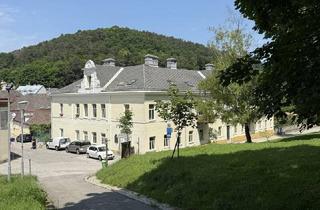 Wohnung kaufen in 2391 Kaltenleutgeben, Wohnungspaket mit 3 Wohnungen, 1 vermietet, 2 sanierungsbedürftig, Garage + DG-Flächen