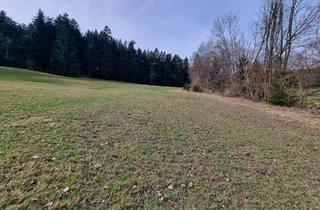 Gewerbeimmobilie kaufen in Gossenreith, 4242 Hirschbach im Mühlkreis, Landwirtschaftliche Nutzfläche - mit kleinem Waldanteil