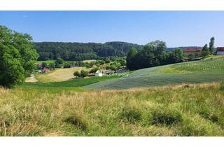 Grundstück zu kaufen in 8324 Oberdorf am Hochegg, Sonniges Baugrundstück in Kirchberg an der Raab – Natur pur & Weitblick inklusive!