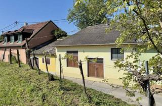 Lager kaufen in Langenlois | Wachau, 3550 Gobelsburg, Weinkeller in idyllischer Kellergasse | Nähe Langenlois