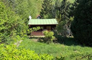 Grundstück zu kaufen in Wolfersberg, 1140 Wien, TOLLE FLÄCHE AM WOLFERSBERG MIT KLEINEM FERIENHAUS