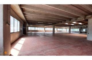Büro zu mieten in 5020 Salzburg, Lagerhalle mit Bürooption in verkehrsgünstiger Lage in Salzburg mieten
