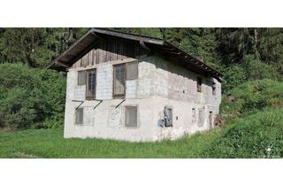 Haus kaufen in 9832 Rakowitzen, Sanierungsobjekt in Alleinlage für kreative Köpfe und Investoren in Oberkärnten. Rakowitzen.