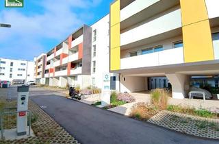 Wohnung kaufen in 3100 Sankt Pölten, Eigentumswohnung im Erdgeschoss - PROVISIONSFREI - ideal als Gewerbe! Innenstadtlage nahe Bahnhof