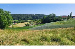 Grundstück zu kaufen in 8324 Kirchberg an der Raab, Grundstück in Kirchberg an der Raab – ruhige Lage und schöne Aussicht