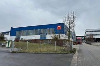 Büro zu mieten in 4600 Wels, 588 m2 Halle mit Sprinkleranlage und 5 Tonnenkran und Brandschutz und Büromöglichkeit optional