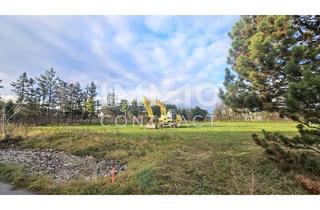 Grundstück zu kaufen in 2751 Matzendorf, Ebenes Baugrundstück in ruhiger Siedlungslage in Matzendorf