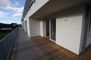 Wohnung mieten in 5310 Sankt Lorenz, Drachenwandblick - St. Lorenz