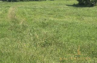 Grundstück zu kaufen in 2630 Ternitz, Grünland-/Agrarland