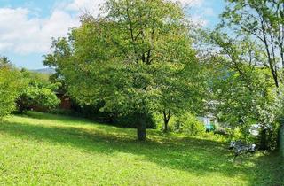 Grundstück zu kaufen in Mauerbach, Tulbing, Tullnerfeld, 3434 Katzelsdorf, Baugrund auf leichtem Südhang in idyllischer Lage in Tulln-Nähe
