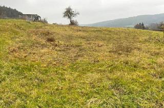 Grundstück zu kaufen in Stegersbach, 7534 Olbendorf, 5.616 m2 großes Grundstück in Olbendorf mit Erweiterungsmöglichkeit auf 1,1 ha